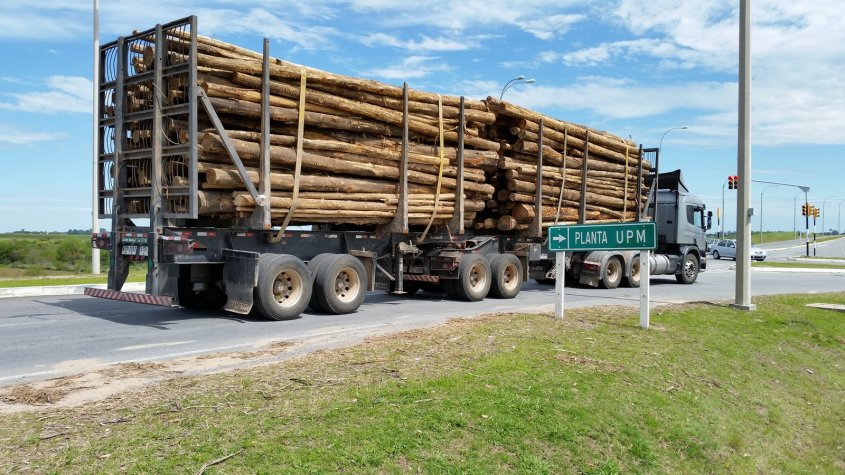 Puerto elevó 21% su actividad en primer trimestre gracias al empuje de la madera