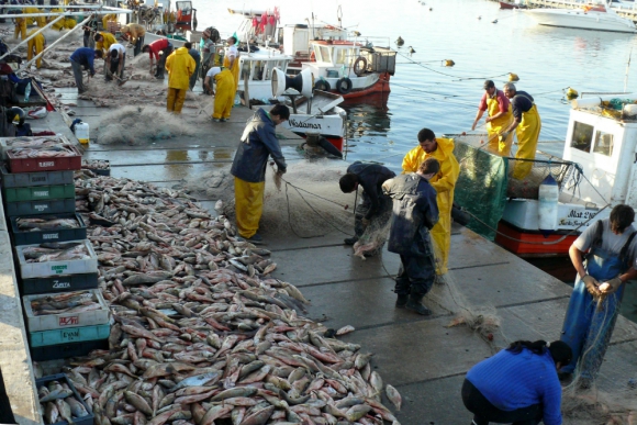 Las ventas de pescado al exterior van en aumento