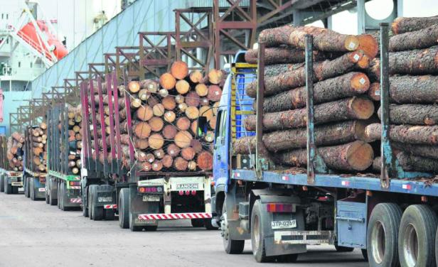 Pocos muelles para barcos madereros crea dificultades